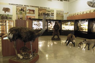 Bursa Zooloji Müzesi 